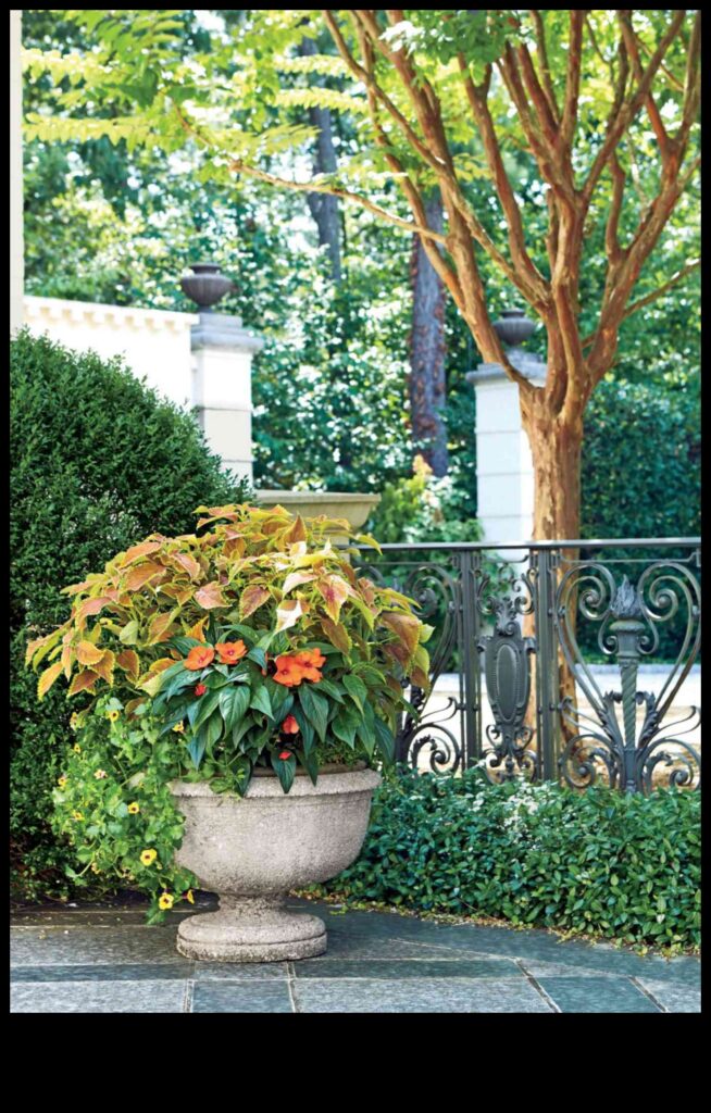 Garden Magic Unlock the Secrets of Container Greenery 1