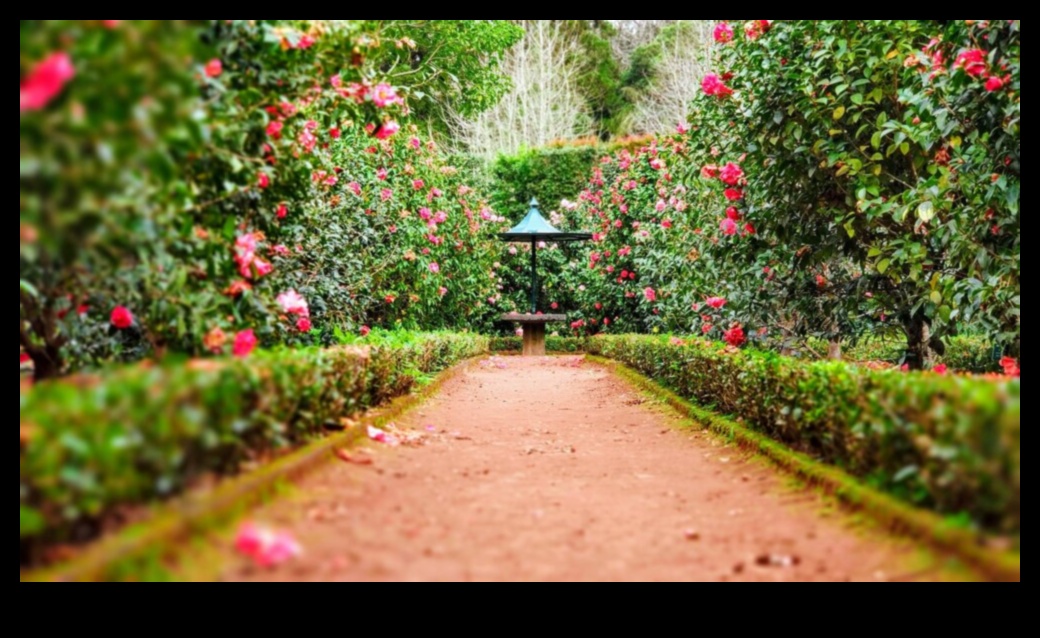 Garden Symphony: Designs That Resonate with Nature