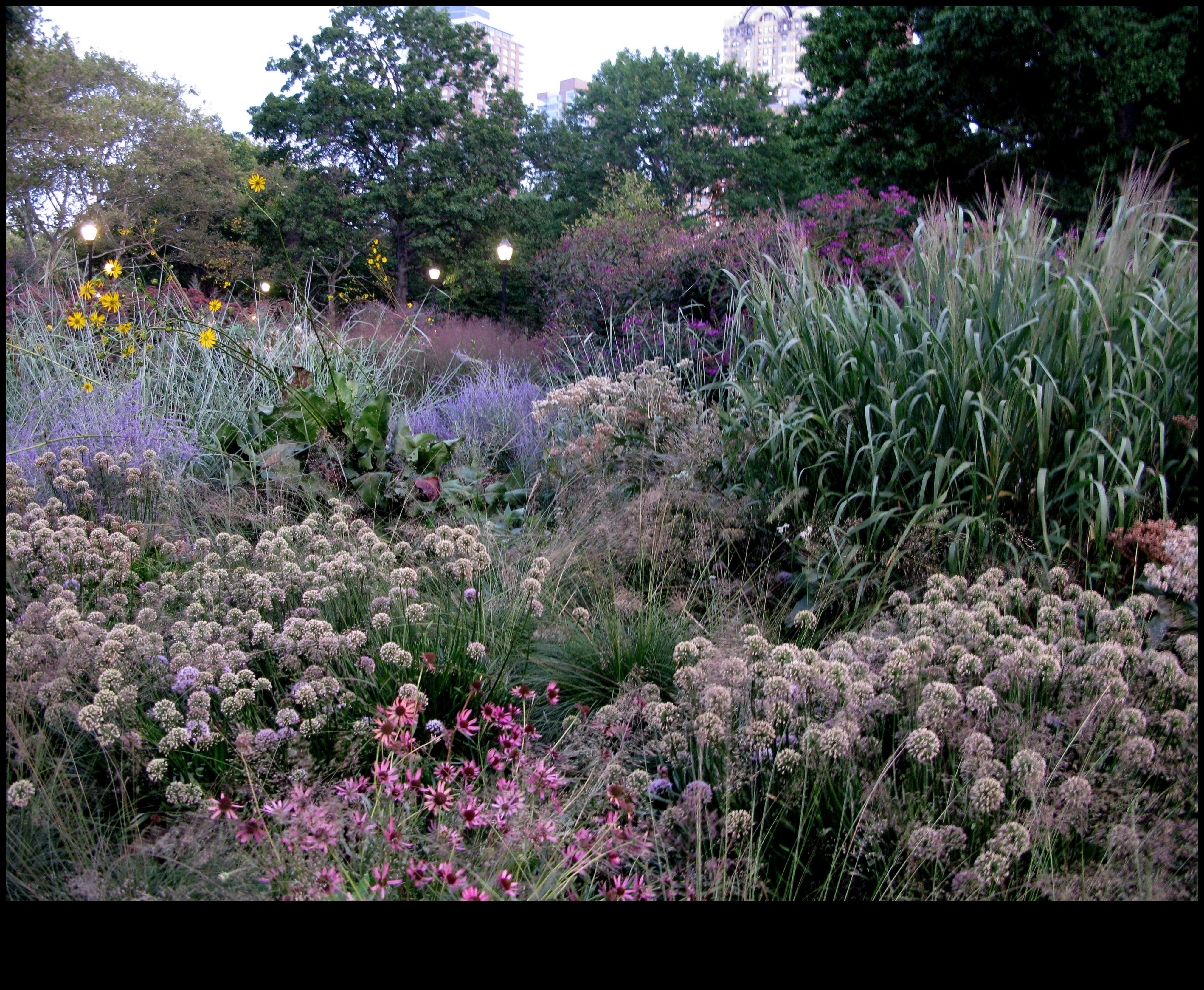 Garden Warriors How to Grow a Pest-Resistant Sanctuary 3 Garden Warriors: Tactics for a Pest-Resistant Sanctuary