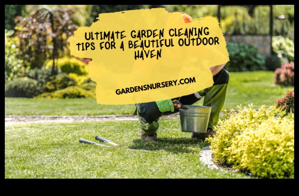 Garden Whisperer Pro Tips to Create a Tranquil Outdoor Haven 3 Garden Whisperer: Pro Tips for a Tranquil Outdoor Haven