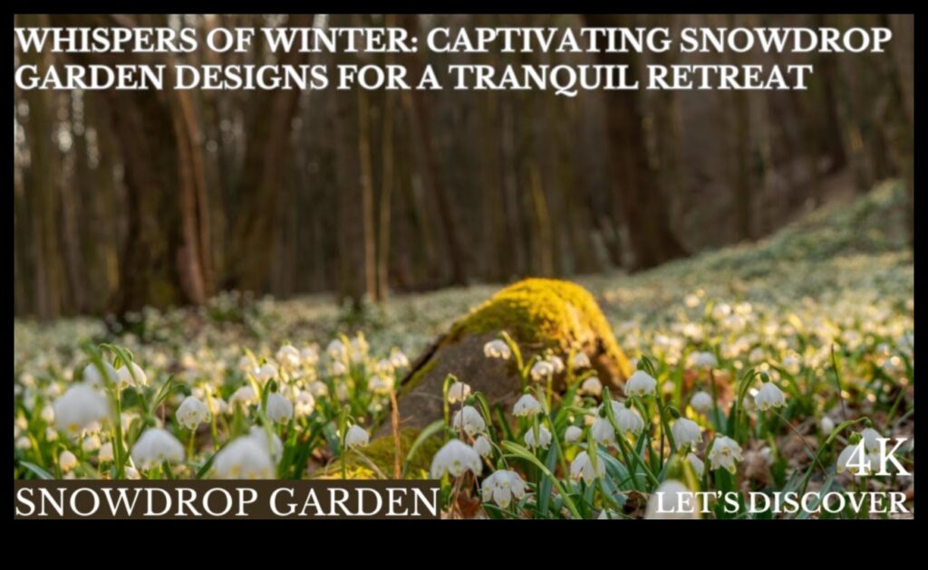 Garden Whispers 5 DIY Secrets for a Serene and Beautiful Space 1