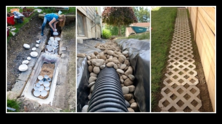 Garden Whispers: DIY Secrets for a Serene and Beautiful Space