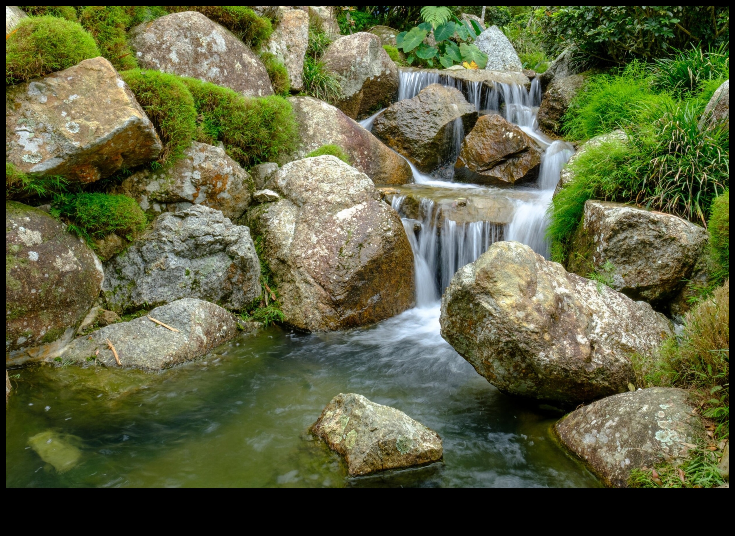 Garden Whispers Pro Tips to Create a Serene and Beautiful Space 5 Garden Whispers: Pro Tips for a Serene and Beautiful Space