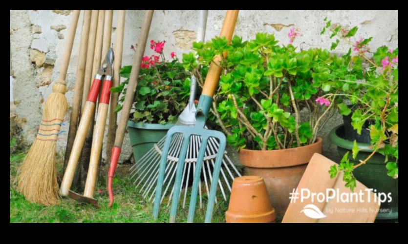 Garden Wonders Await 5 Must-Have Tools for Your Dream Landscape 1