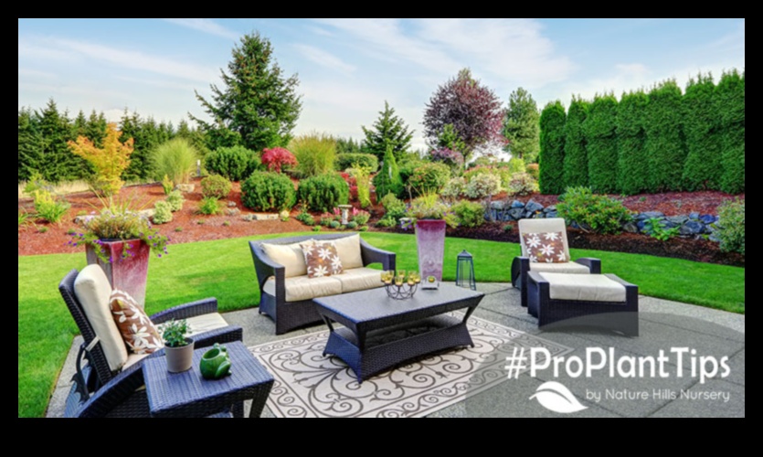 Garden Wonders Await 5 Must-Have Tools for Your Dream Landscape 4 Garden Wonders Await: Essential Equipment Inspirations