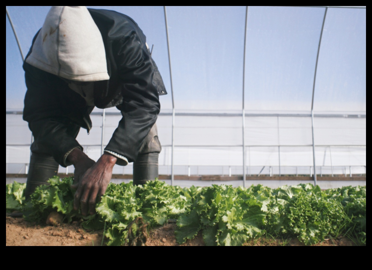 Garden Workshop Chronicles A Fertile Ground for Innovation 2 Garden Workshop Chronicles: Where Ideas Blossom