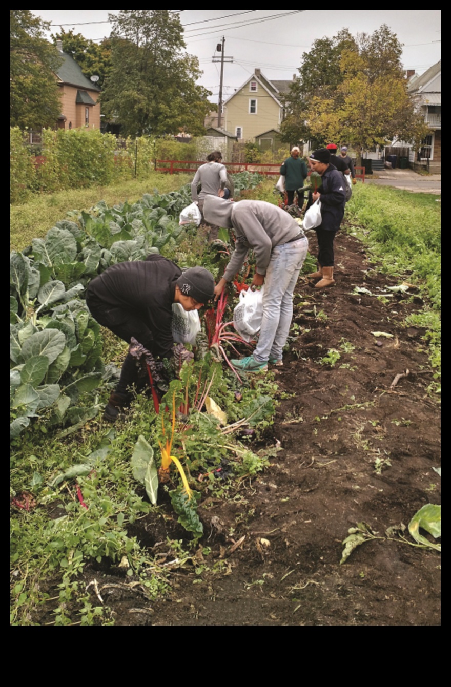 Garden Workshop Chronicles A Fertile Ground for Innovation 4 Garden Workshop Chronicles: Where Ideas Blossom