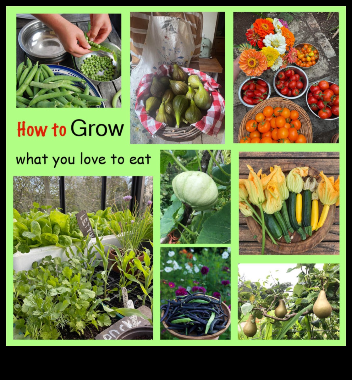 Garden Workshop Chronicles A Fertile Ground for Innovation 5 Garden Workshop Chronicles: Where Ideas Blossom