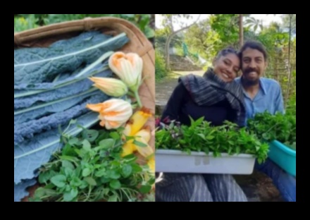 Garden Workshop Odyssey A Skill-Building Journey Through the World of Plants 5 Garden Workshop Odyssey: Navigating Skills and Knowledge