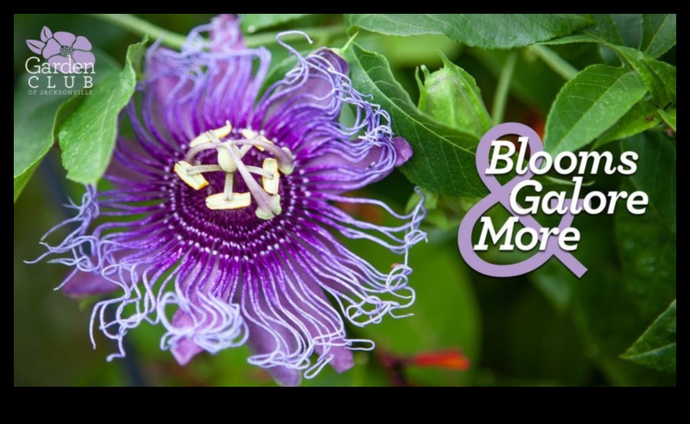 Garden Workshops Galore: A Flourishing Learning Experience