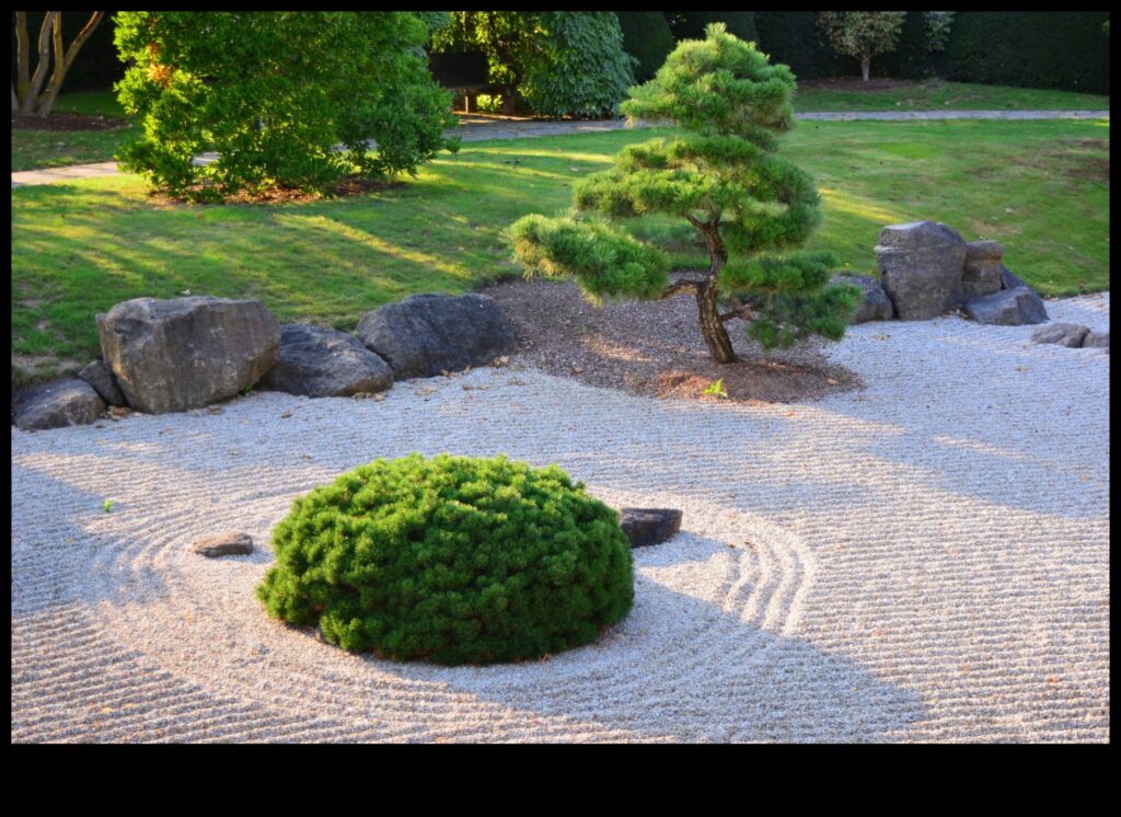 Garden of Stones A Meditation on Japanese Zen Mastery 1