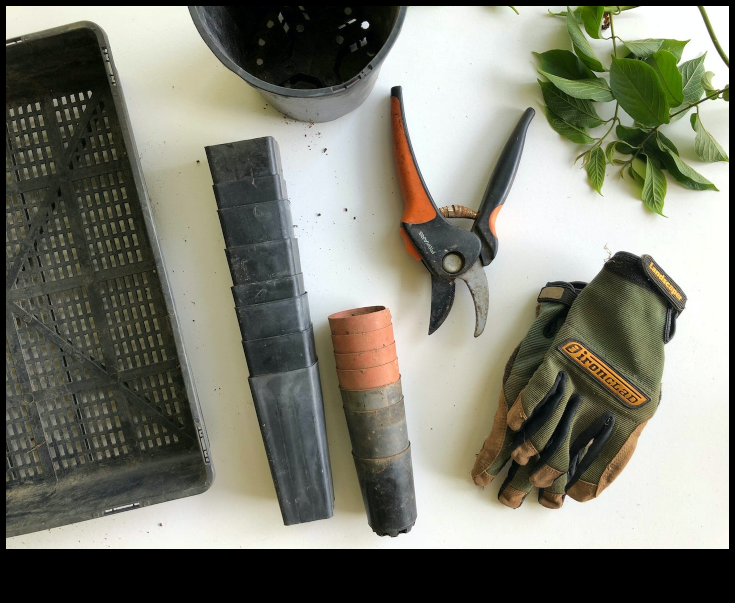 Gardeners' Arsenal: Top-Notch Tools for Blooms