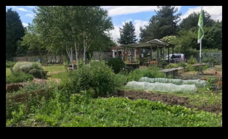 Gardens A Place to Grow 5 Green Sanctuaries: Rediscovering Gardens and Green Havens