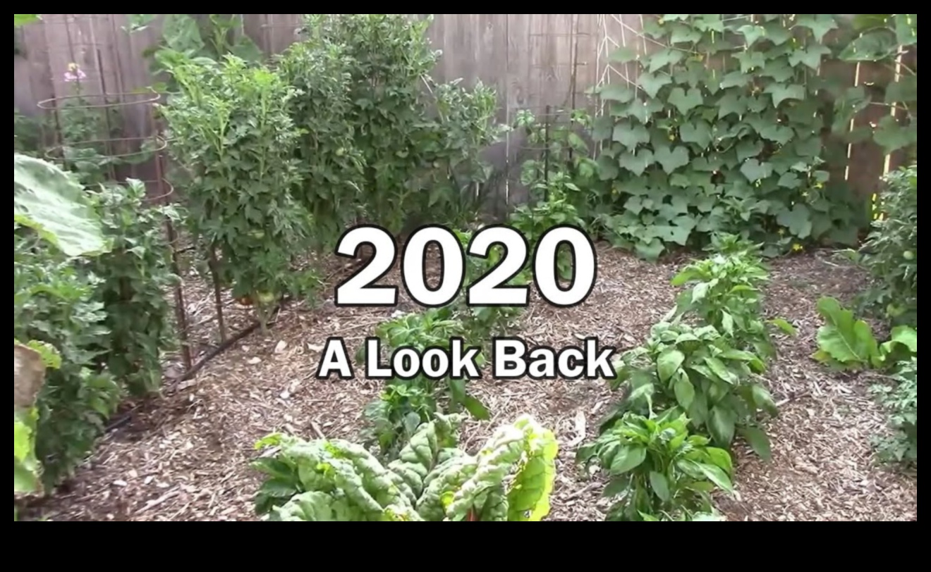 Gardens Through Time II A Look Back 3 Gardens Through Time II: Historical Splendors in Every Era Continued