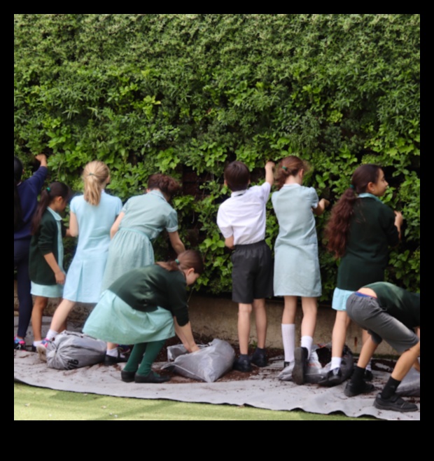 Green Classrooms: Nurturing Minds through Garden Education