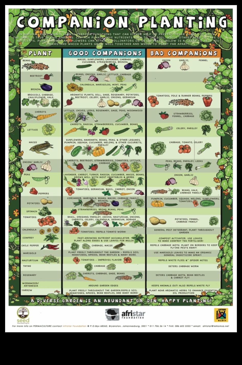 Green Comrades: Navigating the Art of Companion Planting