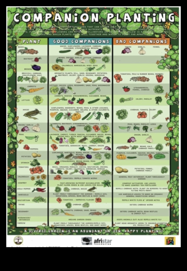 Green Comrades: Navigating the Art of Companion Planting