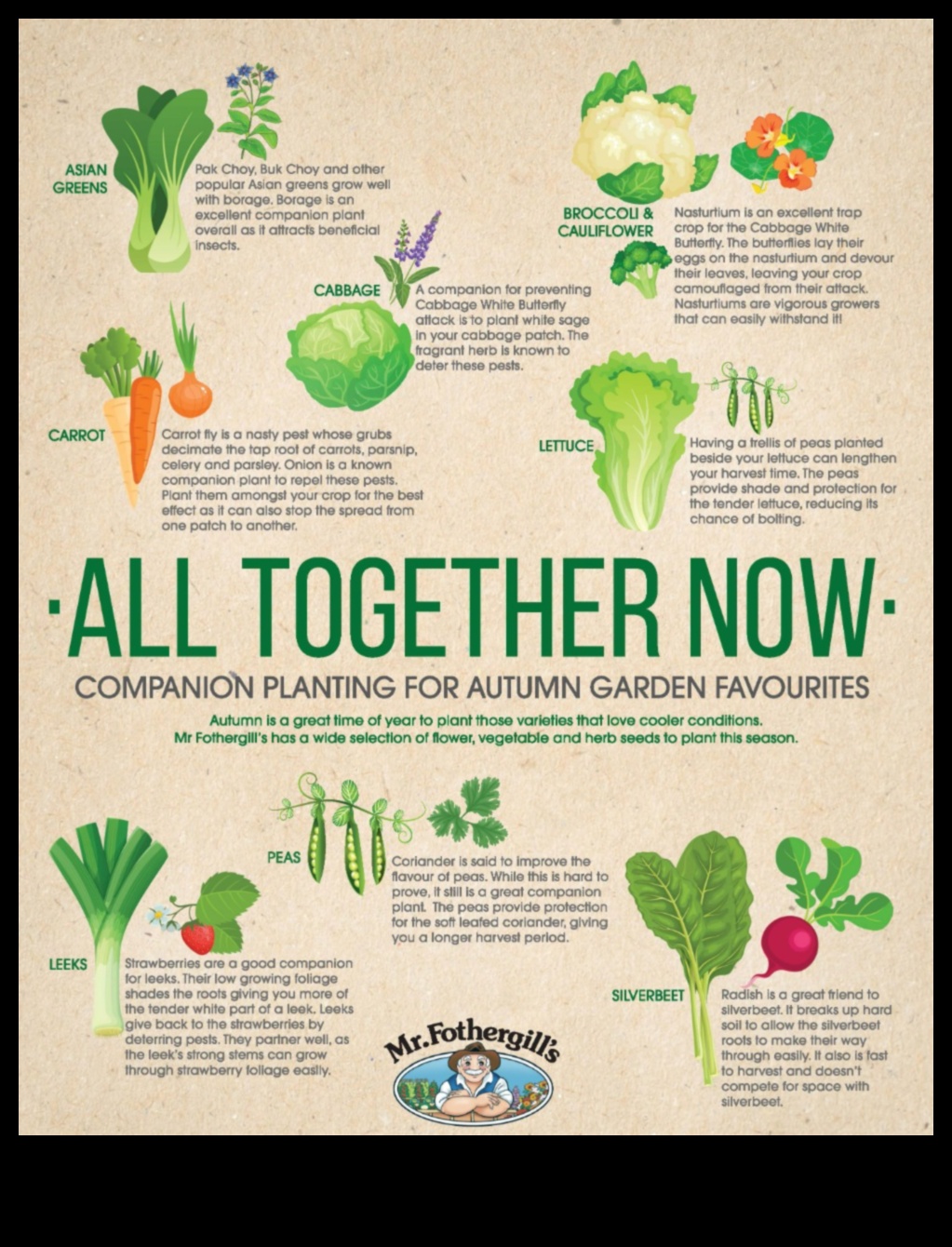 Green Comrades: Navigating the Art of Companion Planting