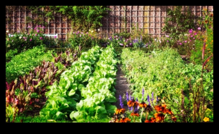 Green Comrades: Navigating the Art of Companion Planting