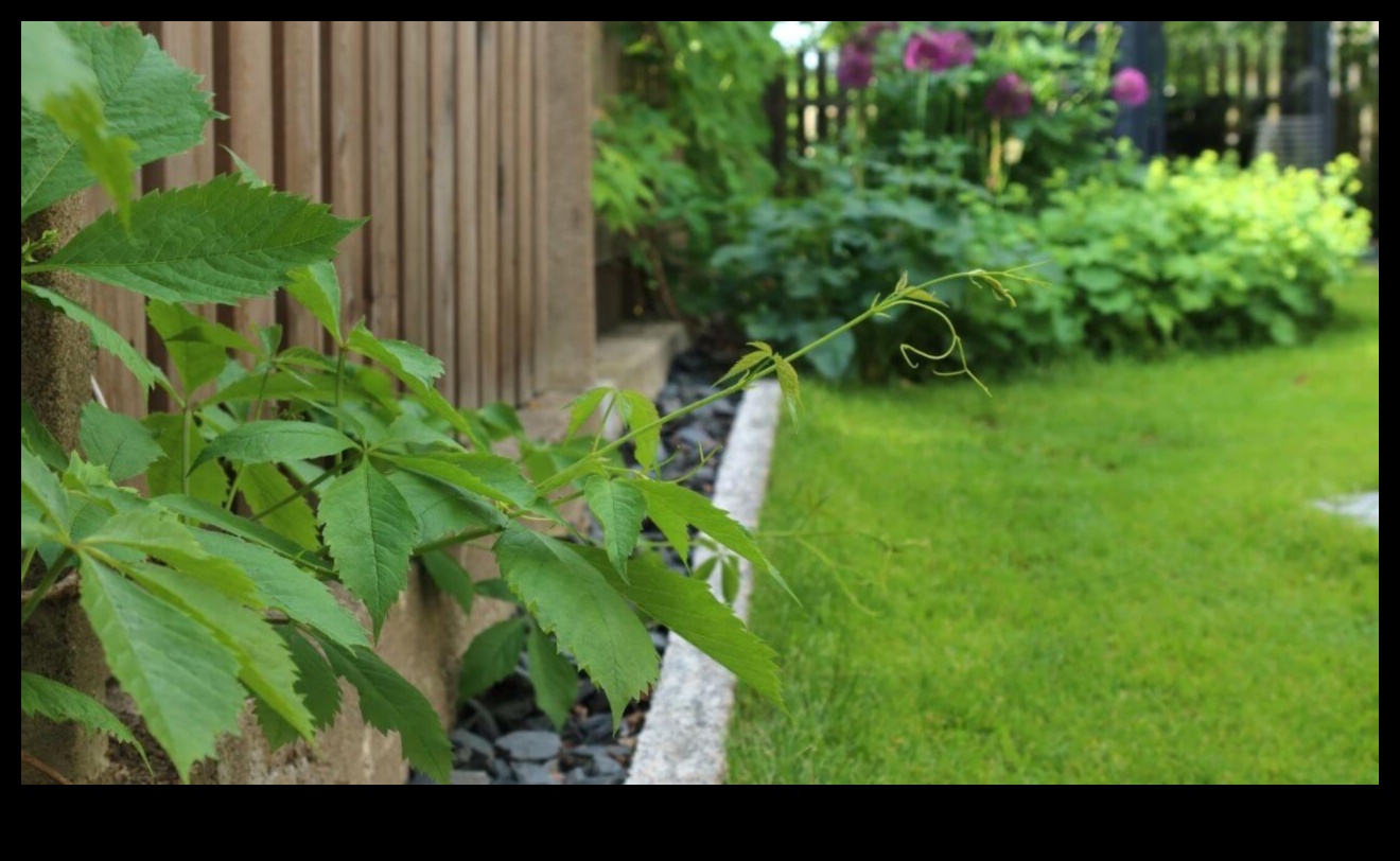 Green Comrades: Secrets of Successful Garden Harmony