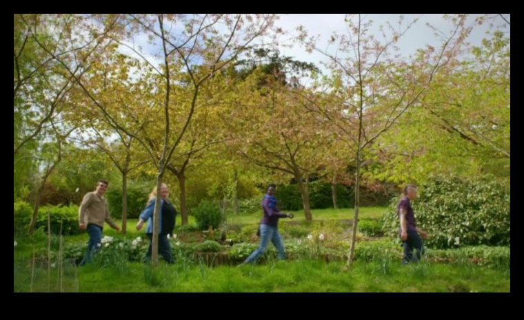 Green Comrades: Secrets of Successful Garden Harmony