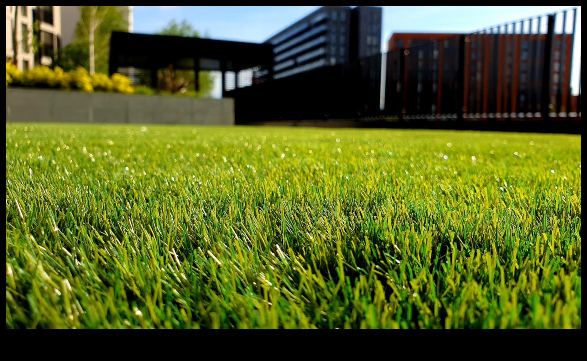 Green Glory: Streamlined Tips for Efficient Garden Maintenance