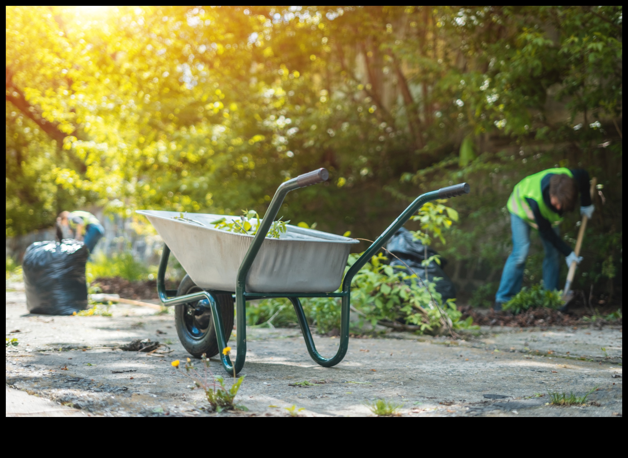 Green Guardians: Upgrade Your Garden Arsenal