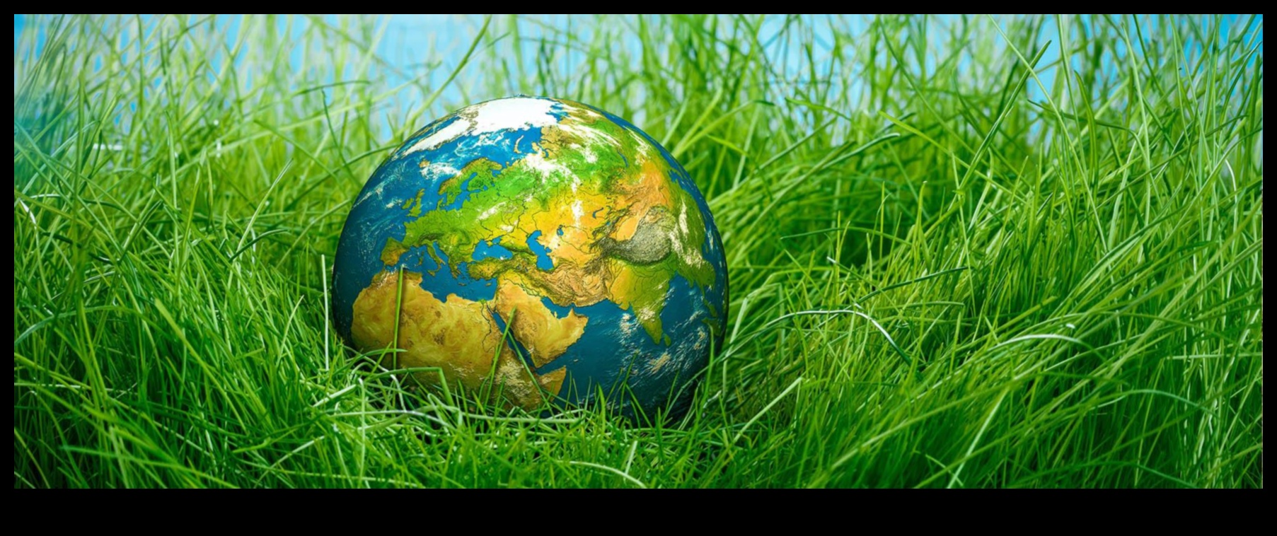 Green Living, Green Growing: The Organic Gardeners' Joy