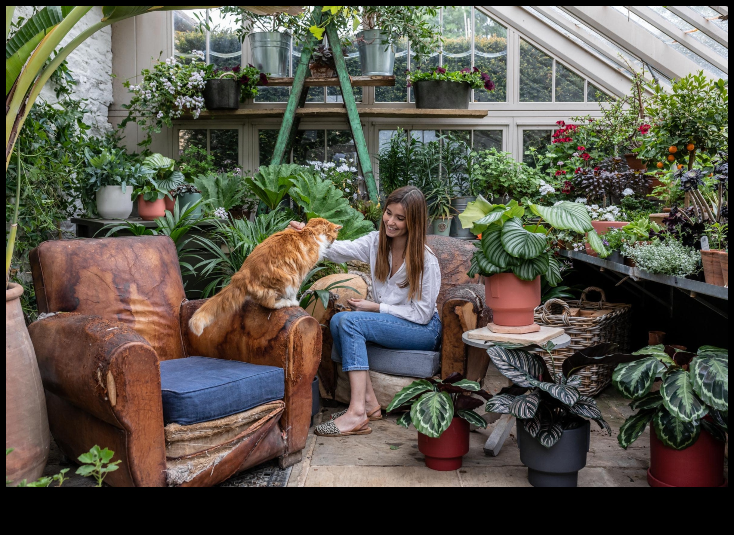 Green Living Inside: Nurturing Your Home with Indoor Gardens