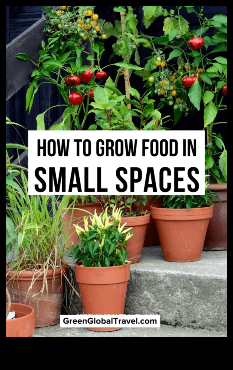 Green Living, Small Spaces: Container Gardening Insights
