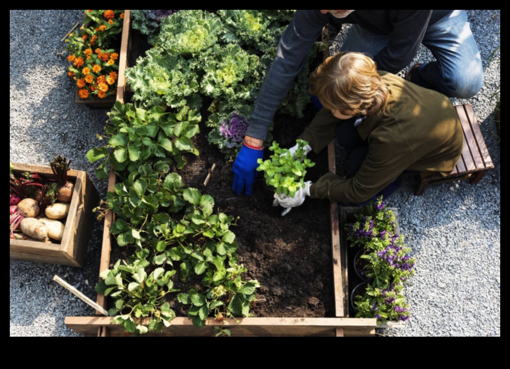 Green Living, Small Spaces: Container Gardening Insights