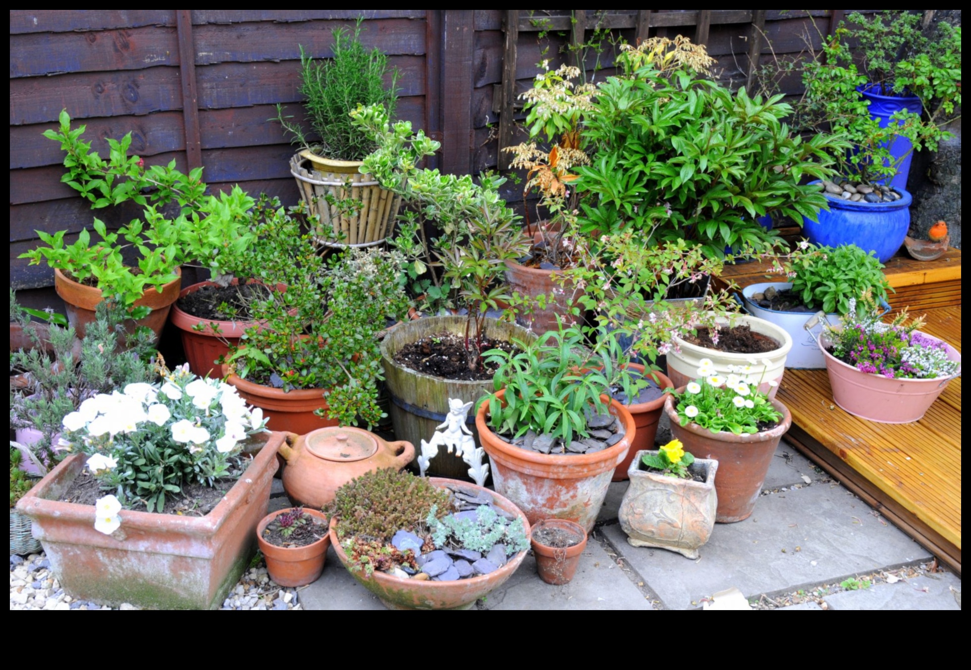 Green Living, Small Spaces: Container Gardening Insights