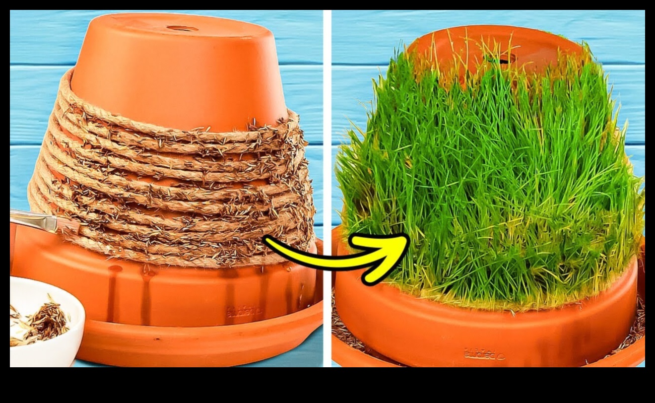 Green Oasis Crafting: DIY Wonders for Your Garden Bliss