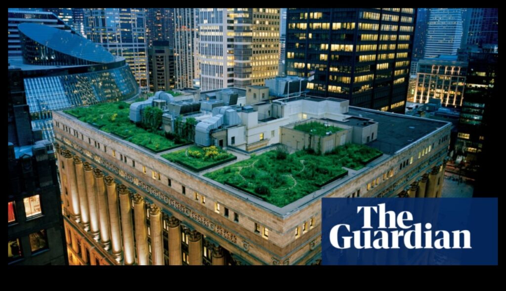 Green Roofs A Beautiful Addition to Any Cityscape 1