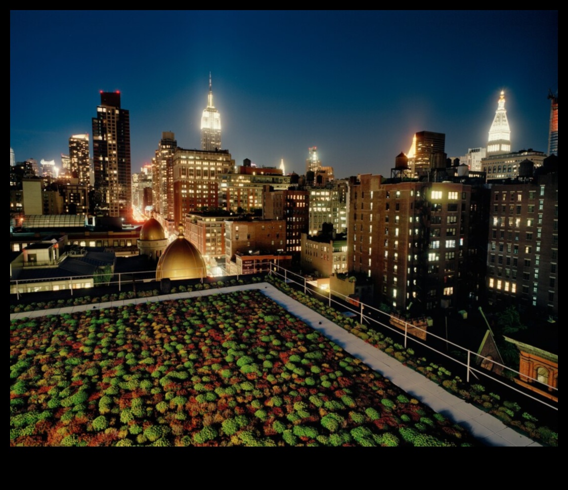 Green Roofs A Beautiful Addition to Any Cityscape 3 How do landscapes contribute to the visual appeal of urban rooftop gardens?