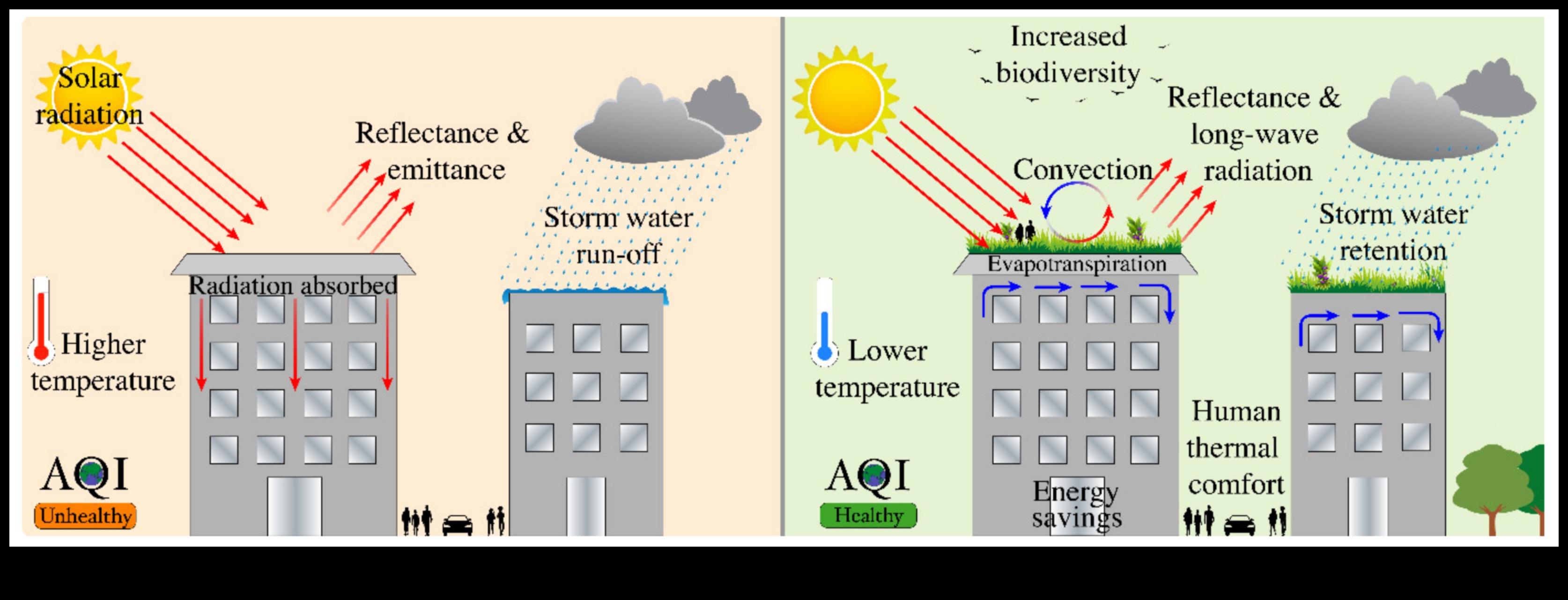 Green Roofs A Sustainable Solution for Urban Areas 4 What role do urban green roofs play in enhancing the sustainability of city landscapes?