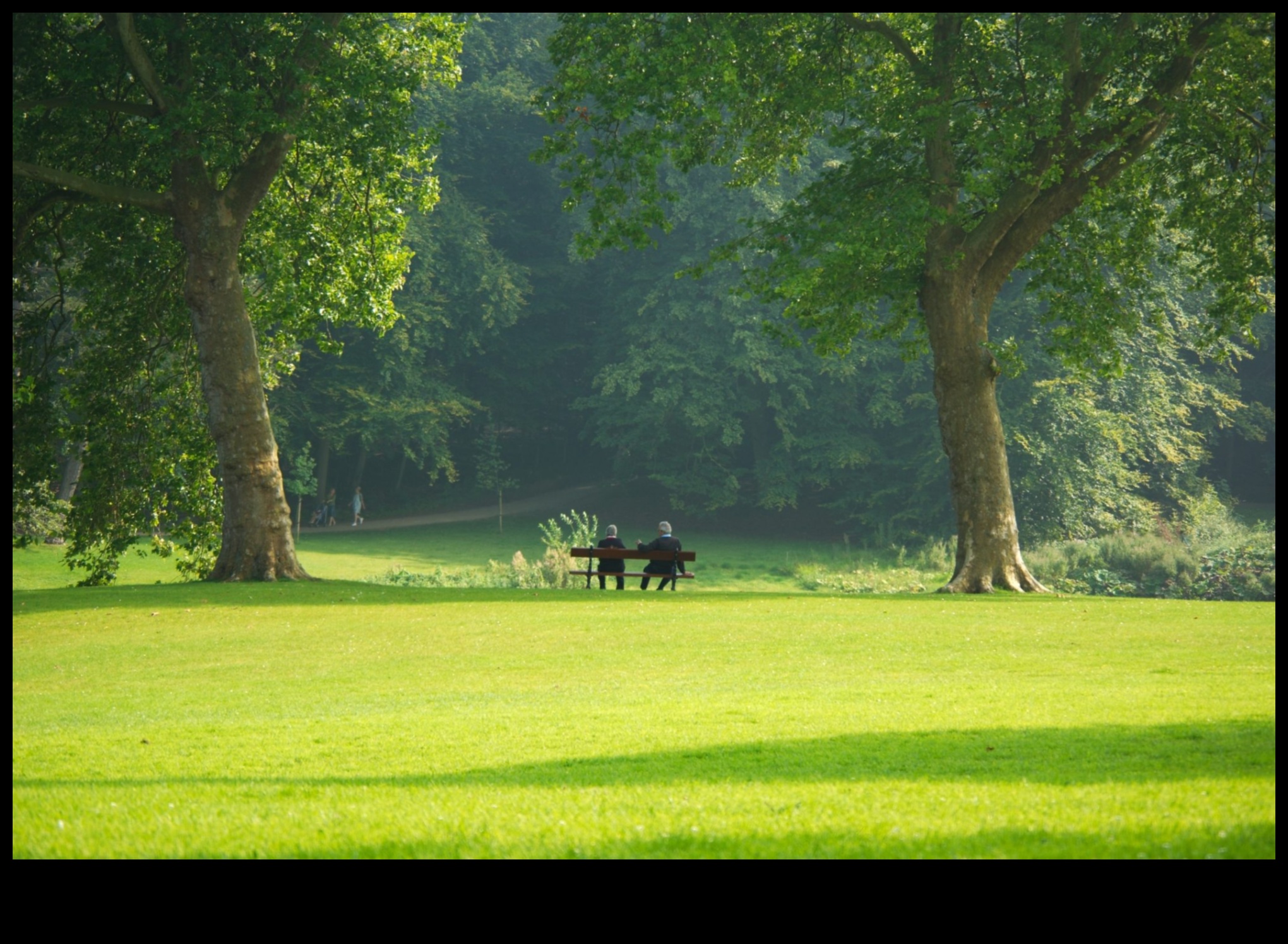 Green Spaces Nature's Medicine 2 Botanical Retreats: Gardens and Green Spaces Rediscovered
