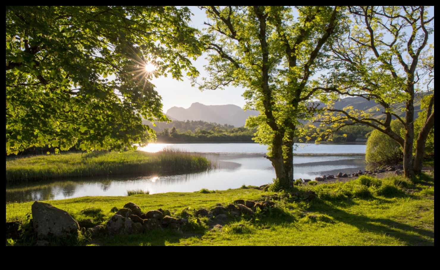 Green Spaces Nature's Medicine 3 Botanical Retreats: Gardens and Green Spaces Rediscovered