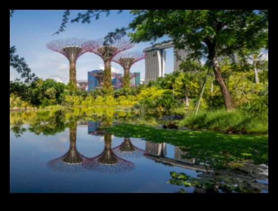 Green Spaces Nature's Medicine 4 Botanical Retreats: Gardens and Green Spaces Rediscovered