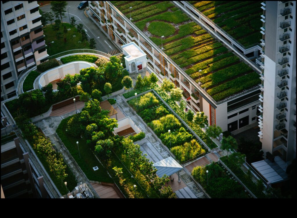 Green Spaces Oasis in the City 1