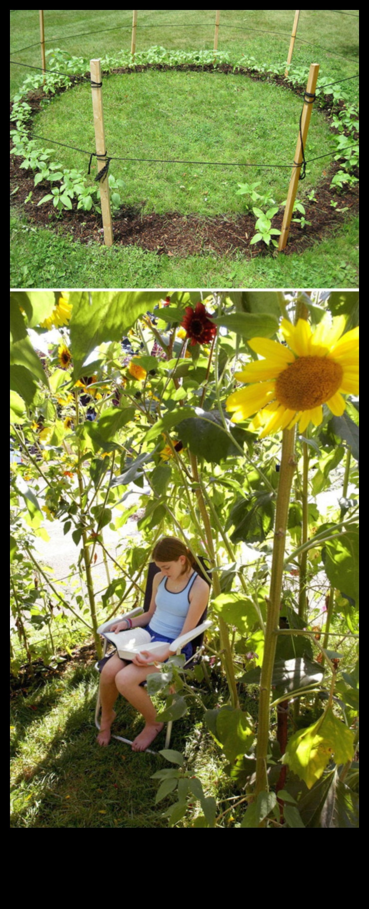 Green Thumb Artistry: Creative DIYs for Garden Enthusiasts