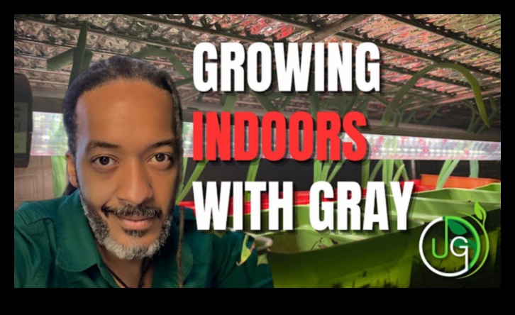 Green Thumb Chronicles: Stories from Horticulture Enthusiasts