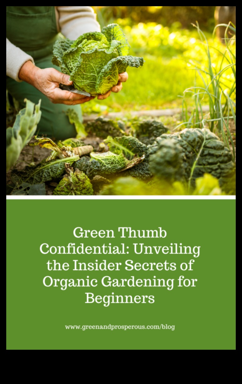 Green Thumb Chronicles: Nurturing Nature with Organic Gardens