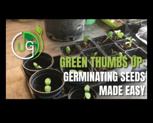 Green Thumb Chronicles: Horticulture Stories Unveiled