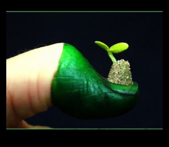 Green Thumb Chronicles: Horticulture Stories Unveiled