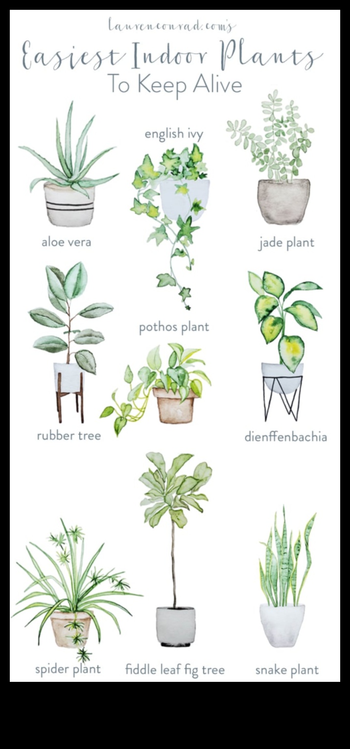 Green Thumb Indoors: Unleashing the Magic of Indoor Gardening