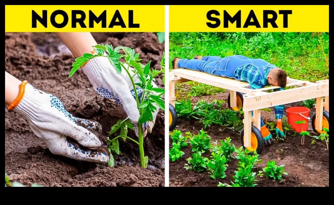 Green Thumb Magic: Must-Have Garden Tools Unveiled