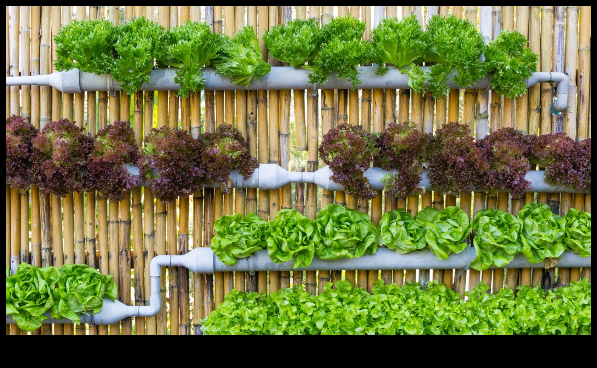 Greening Your Space: Indoor Gardening Made Simple