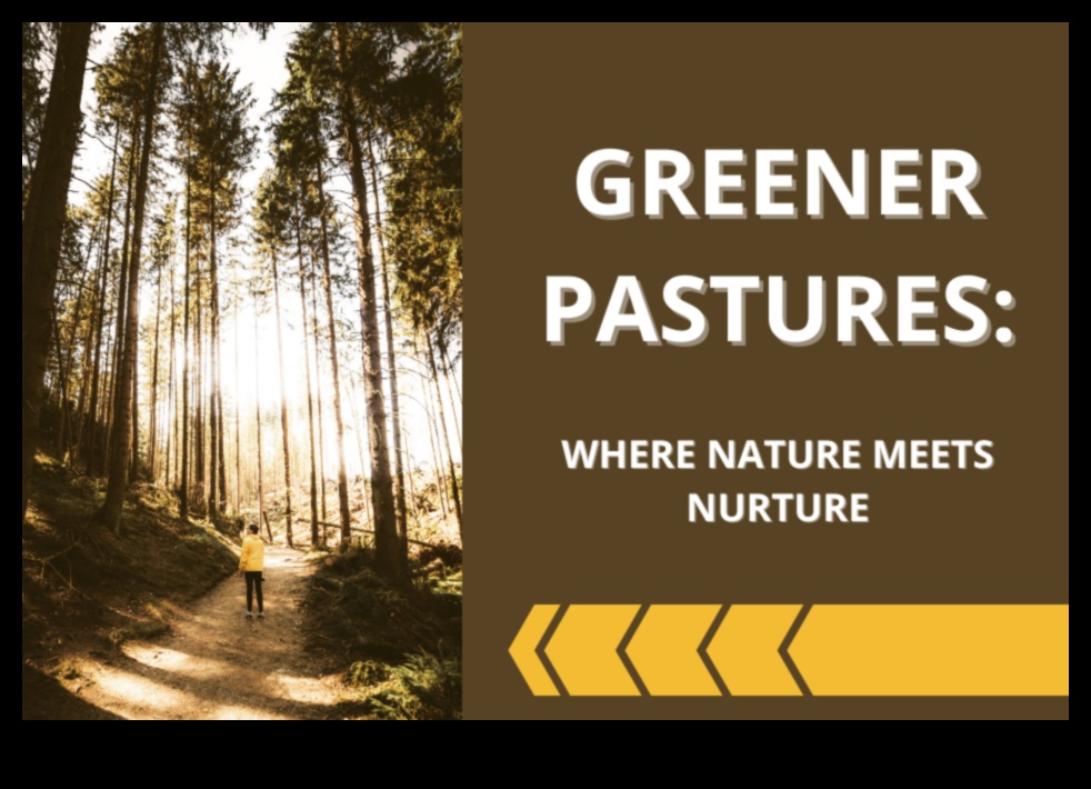 Greener Pastures How Horticulture Can Help You Nurture Nature 1