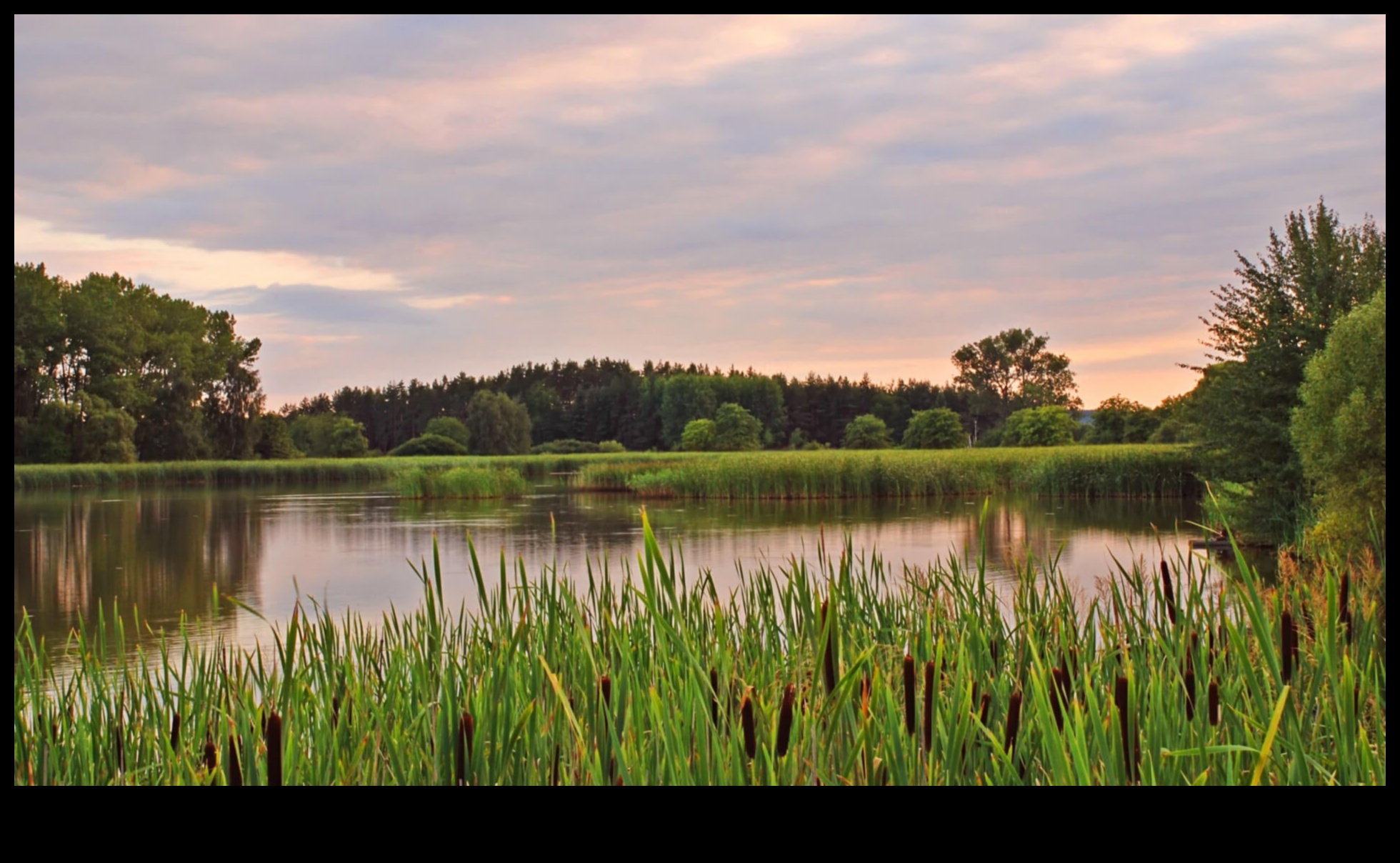 Greener Pastures: Nurturing Nature with Horticulture